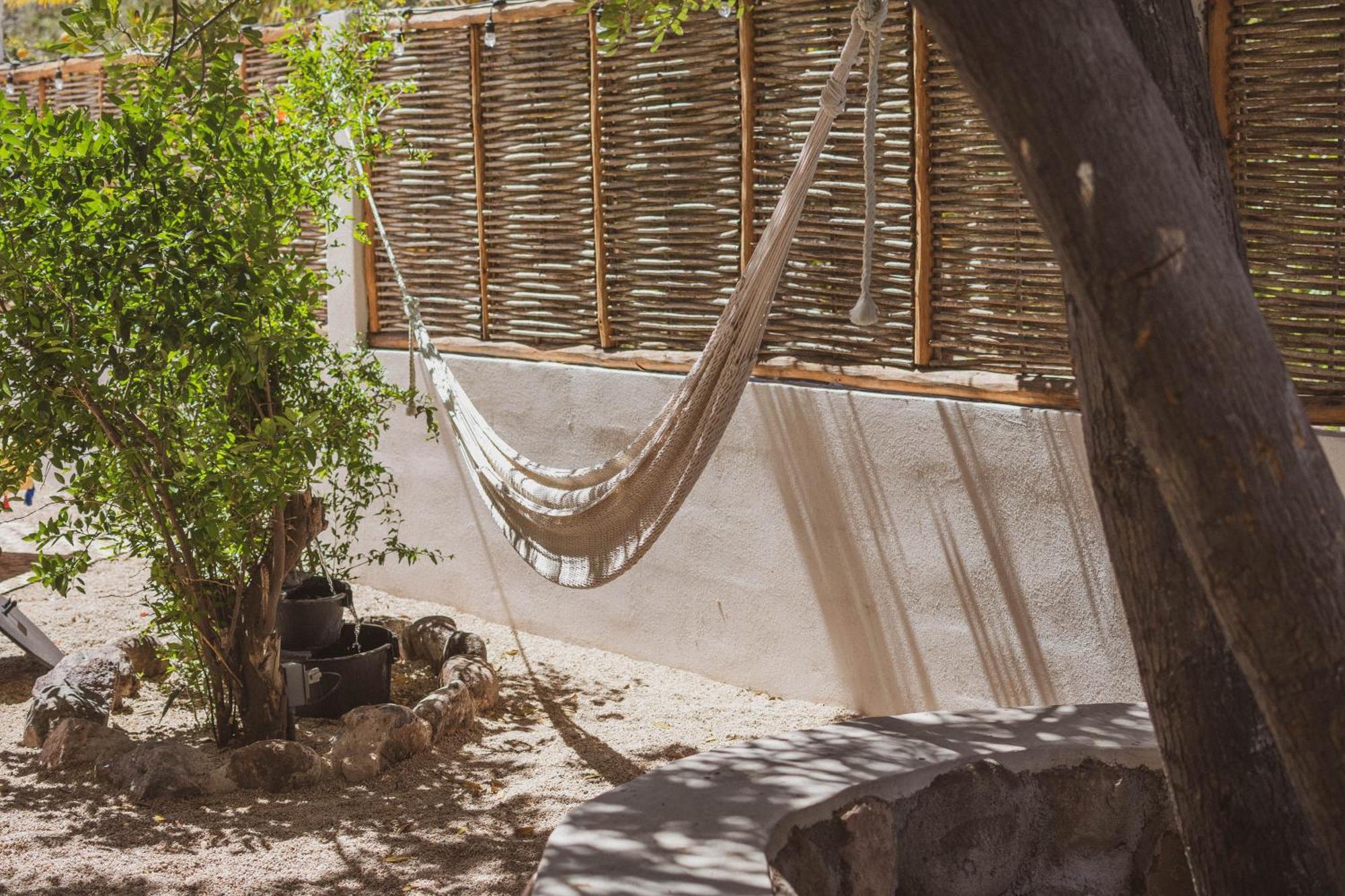 The Mantarraya Outpost Bed & Breakfast Ла Пас Екстериор снимка